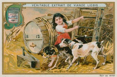 Bulldog e Fox Terrier da French School