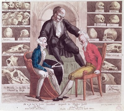 Caricatura di William Pitt il Giovane e Gustavo IV Adolfo in visita a Franz Joseph Gall da French School