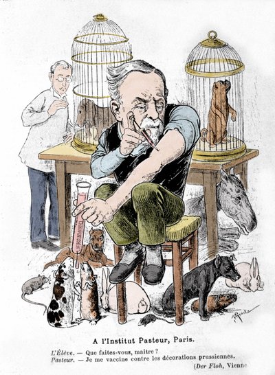 Rappresentazione caricaturale dello scienziato Louis Pasteur, inventore del vaccino contro la rabbia, che si vaccina contro le decorazioni prussiane. Pubblicato in 