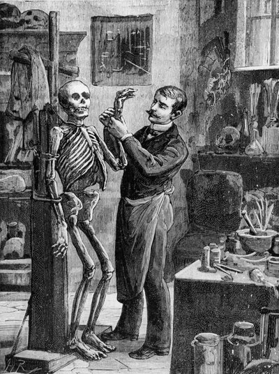 Caso Gouffé: La ricostruzione immaginaria del cadavere Gouffé dal dottor Lacassagne - in "La Malle Sanglante", ed. A. Fayard, Parigi, n.d. - Parigi, B.H.V.P.D. da French School