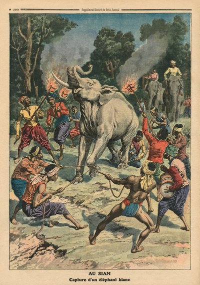 Cattura di un elefante bianco in Siam, illustrazione da 