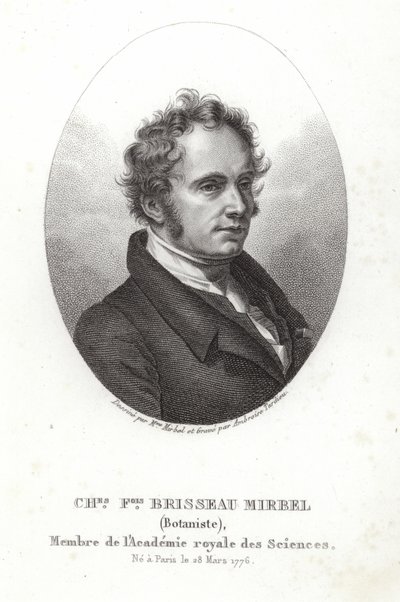 Charles-François Brisseau de Mirbel da French School