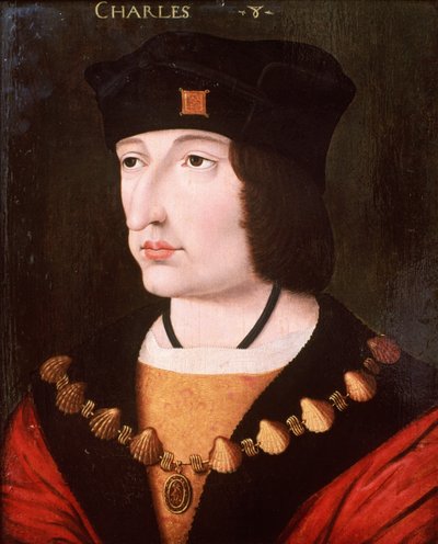 Carlo VIII di Francia da French School