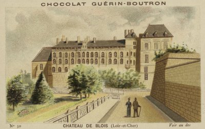 Castello di Blois, Loir-et-Cher da French School
