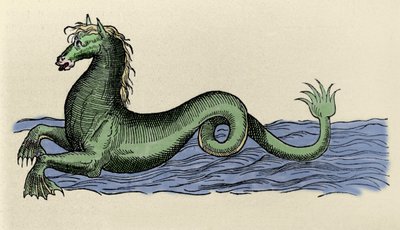 Cheval marin in "De Aquatilibus" da French School