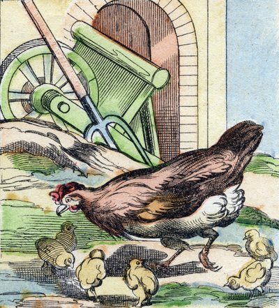 Gallina e pulcini da French School
