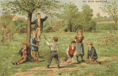 Bambini che raccolgono ciliegie da French School