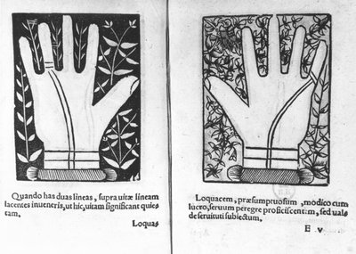Mani chiromantiche, illustrazione da Chiromatiae Principiis...Anastasis di Bartolommeo della Rocca (Cocles) 1467-1504) 1555 da French School