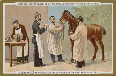 Carta commerciale Chocolat d