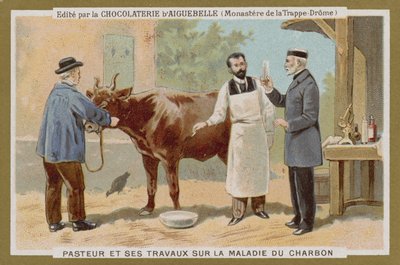 Carta commerciale Chocolat d