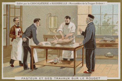 Carta commerciale Chocolat d