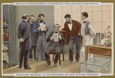 Carta commerciale Chocolat d