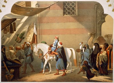 Circoncisione da French School