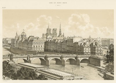 Cité e Pont-Neuf, 1878 da French School