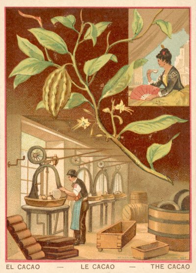 Cacao da French School