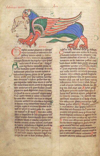 Cod. Guelf. 1 Gud. lat. 39v, Un Grifone che divora un uomo, dal Liber Floridus di Lambert de Saint-Omer c.1120 da French School