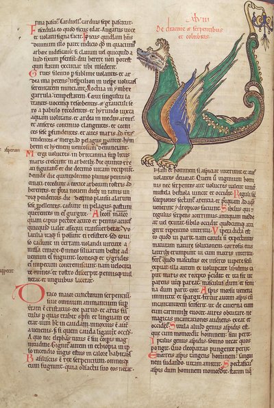 Cod. Guelf. 1 Gud. lat. 40v, testo con illustrazione di un Drago, dal Liber Floridus di Lambert de Saint-Omer c.1120 da French School