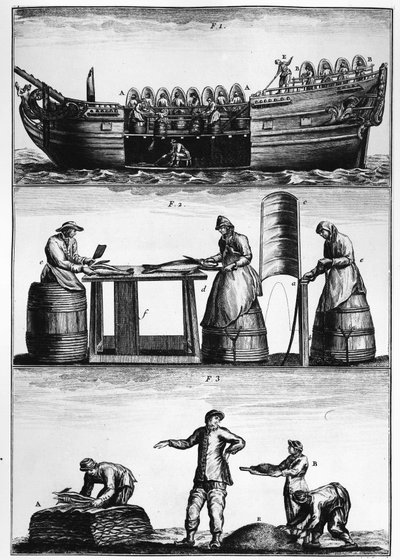 Pesca del merluzzo: carico, affettatura e salatura del pesce - in Traité général des pêches di Duhamel du Monceau da French School