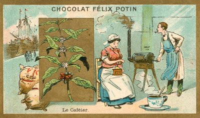 Caffè da French School