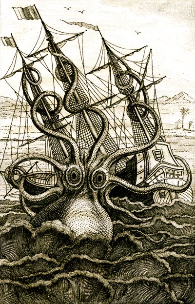 Polpo colossale, c.1802 (incisione) da French School
