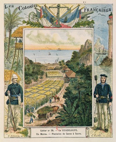 Copertina per un quaderno scolastico raffigurante una piantagione di canna da zucchero in Guadalupa, 1892 da French School