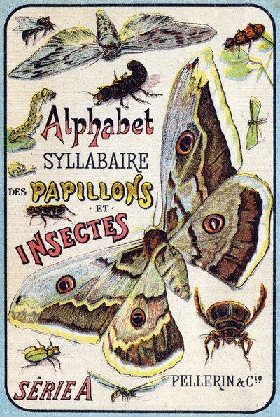 Copertina di "Sillabario alfabeto di farfalle e insetti". Serie A. Pellerin et Cie, stampatori-editori, Épinal, fine XIX secolo. da French School