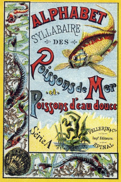 Copertina di "Sillabario alfabeto di pesci marini e d