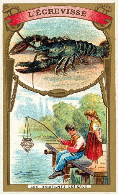 Gamberi da French School