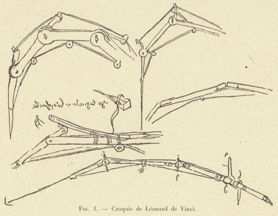 Schizzo di Leonardo da Vinci da French School