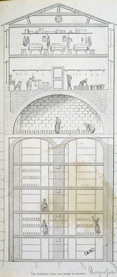 Tazza di una cantina a Roquefort da French School