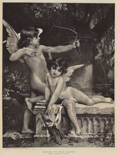 Cupidi all