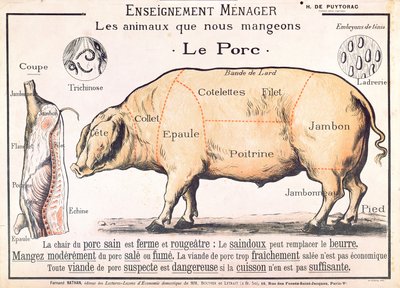 Tagli di maiale, illustrazione da un manuale di scienze domestiche francese di H. de Puytorac, pubblicato da Editions Fernand Nathan, fine XIX secolo da French School