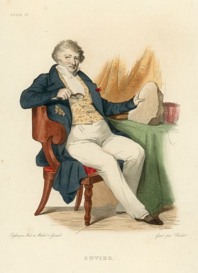 Cuvier (incisione colorata) da French School