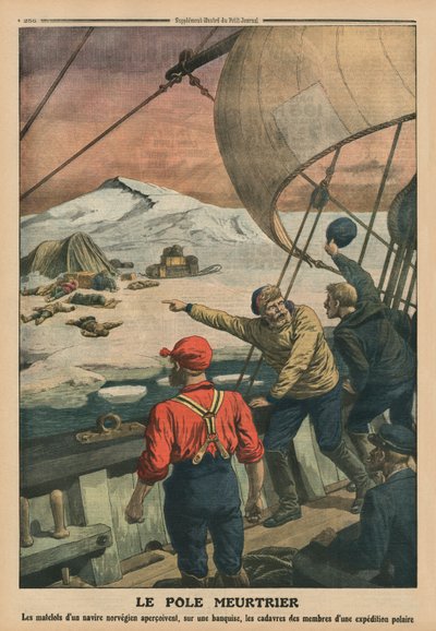 Palo mortale, illustrazione di copertina da 