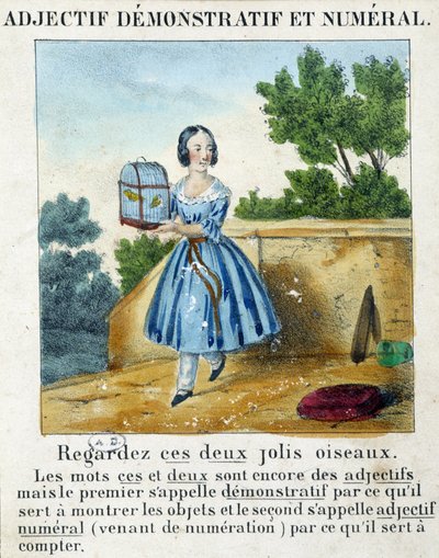 Aggettivo dimostrativo e numerale (una ragazza che porta una gabbia con 2 uccelli) - in "La grammatica in immagini" da French School