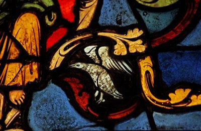 Un uccello sull