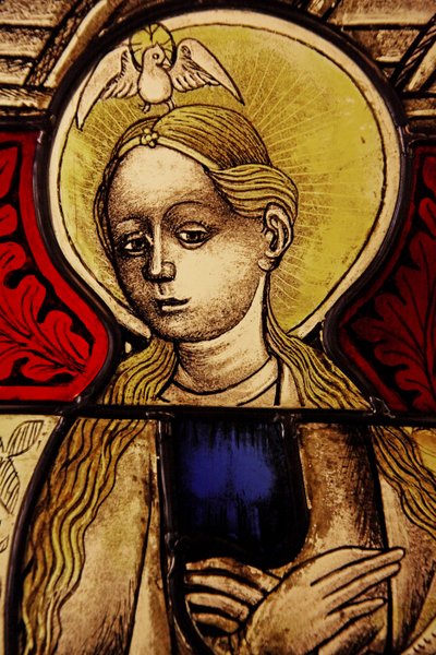 La Vergine Maria all
