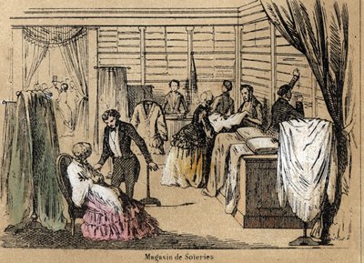 Descrizione della cultura e dei prodotti della seta: un negozio di seta. Tavola "La seta" in "Le ricreazioni istruttive". Dipinto sinottico di Jules Delbruck, incisione del 1860. da French School