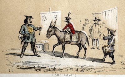 Descrizione dei diversi prodotti e usi dell