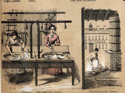 Descrizione della coltivazione e dei prodotti della seta: operai che filano la seta, rimuovendo o soffocando i bozzoli. Tavola 