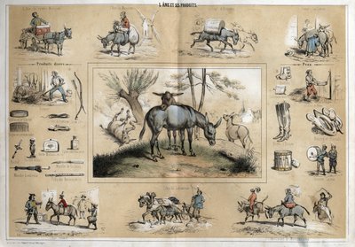 Descrizione dei diversi prodotti e usi dell