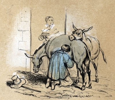 Descrizione dei diversi prodotti e usi dell