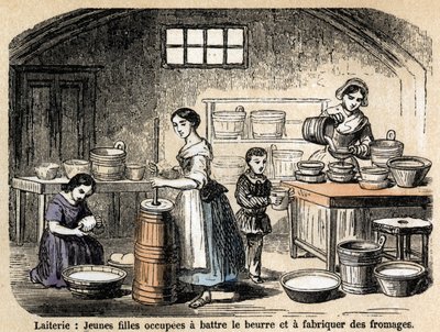 Descrizione dei vari lavori e prodotti delle pecore: giovani allevatori che fanno burro e formaggi in una latteria. Tavola "Le pecore" in "Le ricreazioni istruttive". Dipinto sinottico di Jules Delbruck, incisione del 1860. da French School