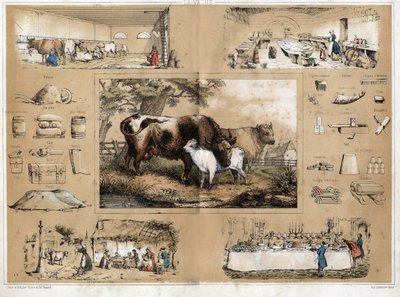 Descrizione dei vari prodotti e usi della mucca: mungitura e produzione di latte di mucca, vista di una latteria dove si fanno formaggi, che poi si trovano sulle tavole contadine nei villaggi, così come su quelle dei buffet mondani, tutti i tipi di oggetti da French School