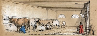 Descrizione dei vari prodotti e usi della mucca: mungitura e produzione di latte di mucca, vista da una stalla. Tavola 