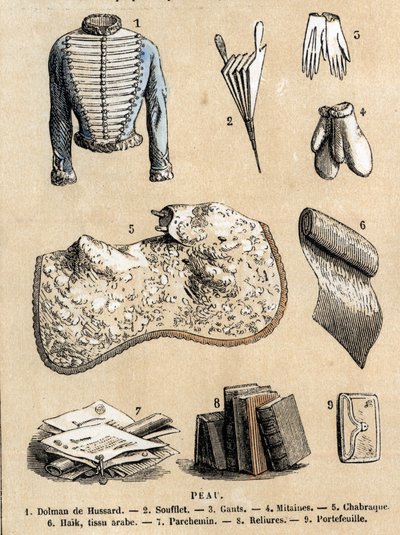 Descrizione dei vari usi e prodotti delle pecore: lavorazione della pelle e rappresentazione dei prodotti di pelle di pecora, giacca da ussaro, mantici, guanti, rilegature e pergamena, portafoglio e accessori. Tavola "Le pecore" in "Le ricreazioni istrutti da French School