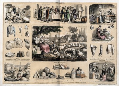 Descrizione dei vari usi e prodotti della pecora: tosatura delle pecore, agnello pasquale servito come piatto tradizionale a Pasqua, giovani lattai che fanno burro e formaggi; arazzi e prodotti di lana, tazze, pantofole, calze di lana, venduti in negozi di da French School