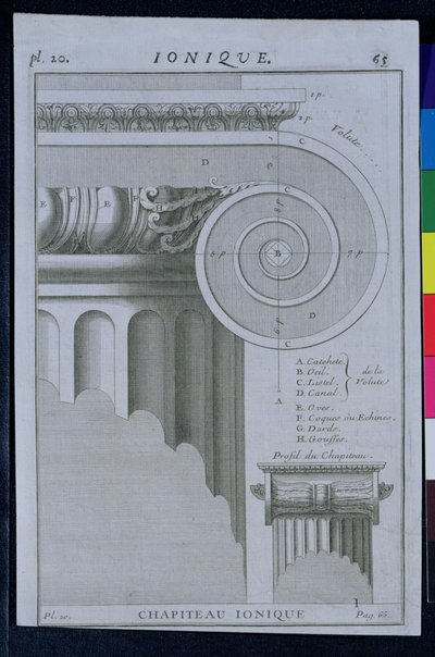 Progetto per il capitello di una colonna ionica da French School