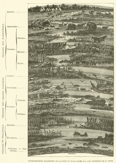Sviluppi progressivi della flora e della fauna nelle epoche successive della terra da French School
