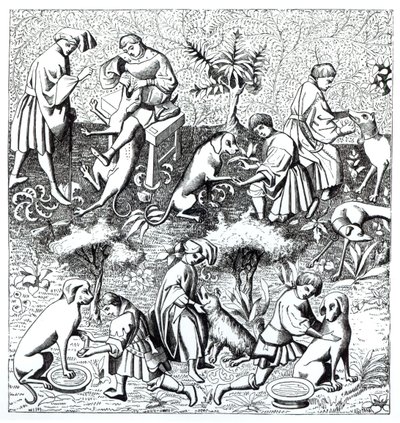 Malattie dei cani e la loro cura, da una miniatura nel manoscritto di Gaston de Foix da French School